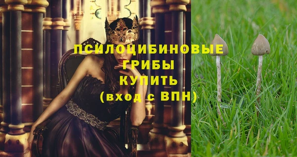мескалин Ельня