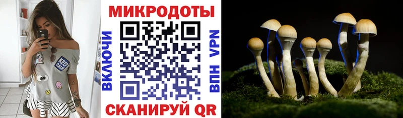 Псилоцибиновые грибы GOLDEN TEACHER Салаир